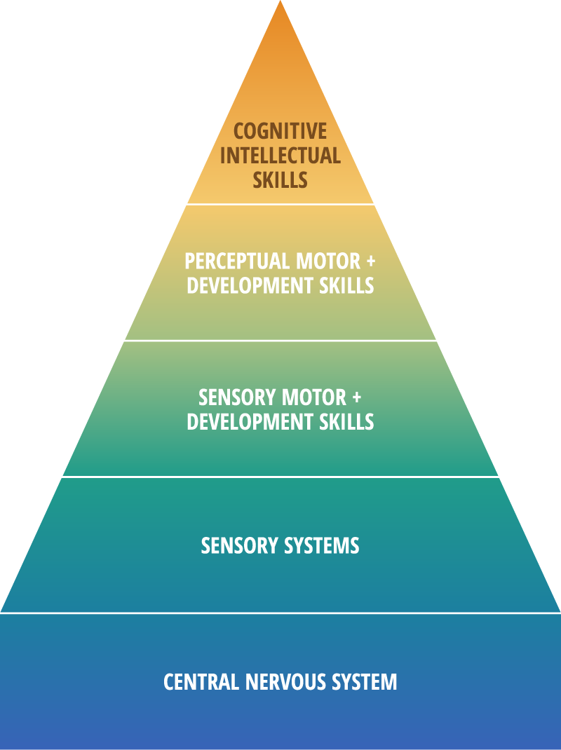 Pyramid of Development: Cognitive Intellectual Skills, Perceptual Motor + Development Skills, Sensory Motor + Development Skills, Sensory Systems, Central Nervous System (top to bottom)